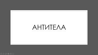 Иммунная система 2. Антитела