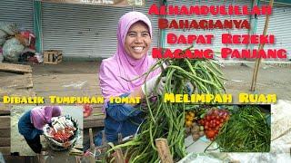 ALHAMDULLILAH DIPASAR BELAKANG DAPAT REZEKI KACANG PANJANG DAN TOMAT...