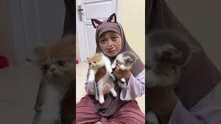 SEMUA COSPLAY JADI KUCING