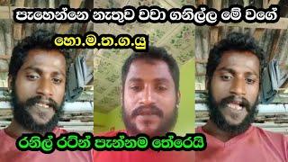 hodin mathaka thaba gatha yuthuiහොදින් මතක තබා ගත යුතුයි ඔබත් ගෙදර වගා කරගන්නහොමතගයුhomathagayu