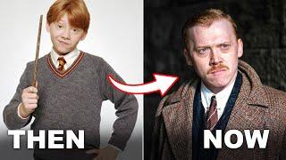 Harry Potter Cast Where Are They Now?