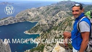 A la découverte des Calanques joyau préservé des Marseillais