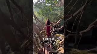 How I spent 1 week in Meghalaya  From waterfalls to living roots bridge  #shorts #travel #youtube