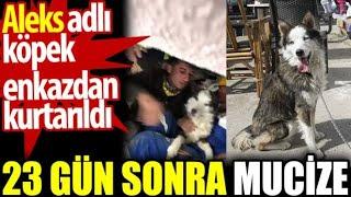 HATAYDA 23 GÜN SONRA YAŞANAN MUCİZE SEVİNÇ ÇIĞLIKLARI İÇİNDE KURTARILDI..MUTLAKA İZLEYİN