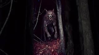 Scary Dogman Encounter in 1887 #australia #dogman #creepy #unitedstates #werewolf #cryptids