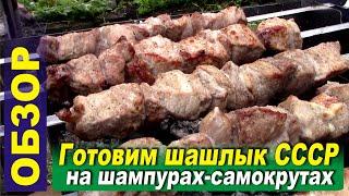 Skewers-shamocracy. Preparing shish kebab of the USSR. Recipe. Review and test.