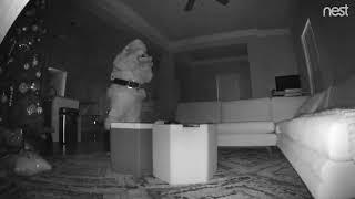 Santa is Caught on Nest Cam Christmas 2018