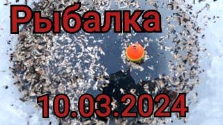 Рыбалка на поплавок 10 марта 2024 гЯ нашёл где стоит вся Рыба на этой реке ..