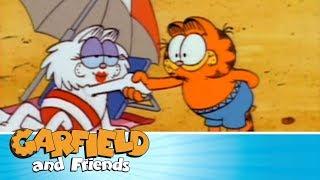 Beach Blanket Bonzo - Garfield & Friends ️