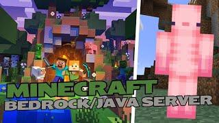 LIVE Minecraft BedrockJava Server With Viewers SMPSurvivalOneblock