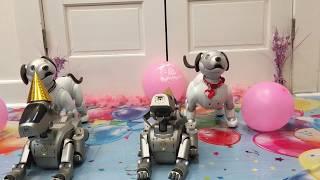 Sony Aibo 20th Birthday Celebration