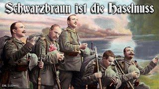 Schwarzbraun ist die Haselnuss German folk song+English translation