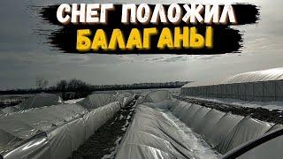 Снег положил балаганы. Беда соседа.