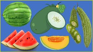 Are Melons Good for Trying to Lose Weight?  Top 3 Reasons Why Melons Help You Lose Weight