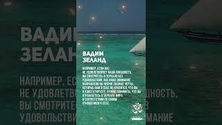 Вадим Зеланд. Сосредоточьте внимание на том что хотите получить #shorts #shortsvideo #youtubeshorts