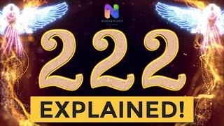 222 Angel Number * REWARDS are Coming YOUR WAY * Spiritual Message Explained