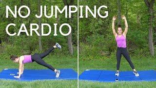 30 Min LOW IMPACT HIIT Full Body Workout - No Jumping No Equipment