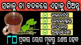 ୧୦୦ ବର୍ଷ ପର୍ଯ୍ୟନ୍ତ ହେବ ନାହିଁ ଡାଇବେଟିସକୋଲେଷ୍ଟ୍ରୋଲପେଟ ରୋଗJoint Painରକ୍ତର ଅଭାବ ଏବଂ ହୃଦୟ ଜନିତ ରୋଗ