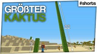 Größter Kaktus in Minecraft automatisch generiert 