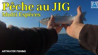 #CONFINEMENT Clip vidéo pêche au JIG en Méditérranée