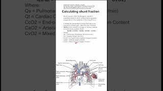 Calculating shunt fraction