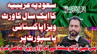 SAUDI ARABIA ONE YEAR VISIT VISA FOR PAKISTANI 2024  HOW TO GET SAUDI ARABIA VISA FROM PAKISTAN