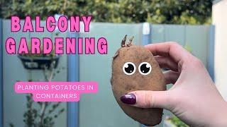 Relaxing Balcony Gardening Planting Potatoes in Containers Balcony Garden Tour & Winter Gardening