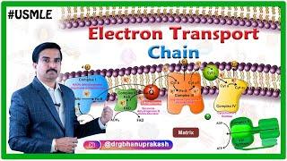 Electron Transport chain Animation USMLE Step 1  Dr G Bhanu Prakash