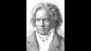 Ludwig Van Beethoven Symphony No.9 In D Minor Op 125 Choral Ode To Joy