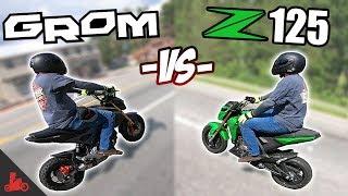 Honda Grom vs Kawasaki Z125 - IN RIDE Comparison