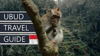 2024 Guide to Ubud Bali  Ubud Village Hotel Review  Indonesia