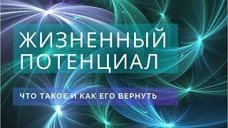 Что такое жизненный потенциал. Антон Артмид