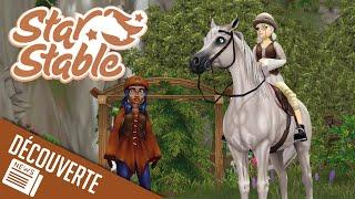 Codes en commentaire new équipements...  Star Stable - SSO