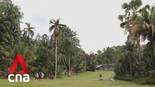 Singapore Botanic Gardens A look at Singapores first UNESCO World Heritage Site