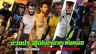 รวมตัวแปร Wolverine ทั้งหมดใน Deadpool & Wolverine สปอยล์