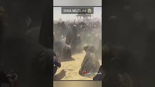 Is Shia Really Muslim?#shia #muslim #shorts