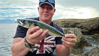 Mackerel Fishing from the Rocks with a Spinning Rod  Sea Fishing UK