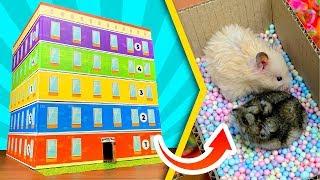 Carton maze for hamsters in a form of 5-story building   DIY