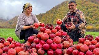 Real Life In An Azerbaijani Village The Best Videos Of Life In The Village In 2023
