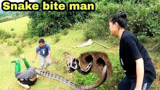 4 men surrounded the worlds largest giant king cobra nest in an abandoned cellar