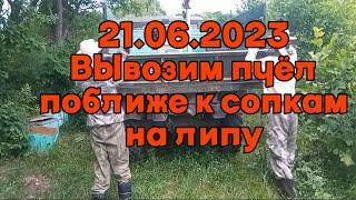 21 06 2023 Вывозим пчёл поближе к сопкам на липу