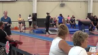 Gymnastics - Vault - Xcel Diamond Region 7 Regionals - 2019