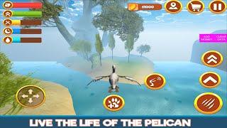 Pelican Simulator 3D Bird Life Animal Simulators