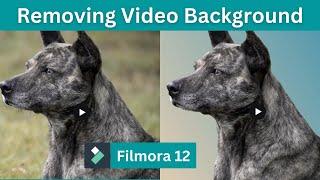 Removing Background of Videos Using Smart Cutout in Filmora 12