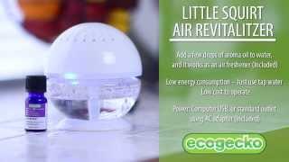 EcoGecko Little Squirt Air Cleaner & Revitalizer