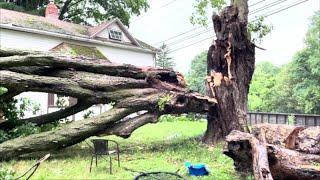 Severe weather knocks down trees powerlines in Alden