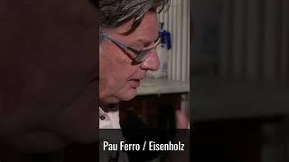 Pau Ferro  Eisenholz - Eine Profi-Gitarre vom Guitar Doc #shorts #guitar #building #diy