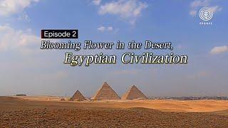 Стародавній Єгипет. Квітка у пустелі 2012 – документальні фільми українською