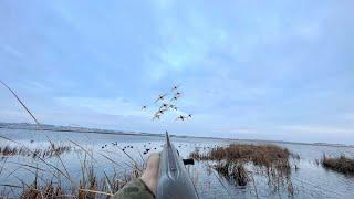 DUCK HUNTING a HIDDEN LAKE Loaded with MALLARDS DRAKE LIMIT