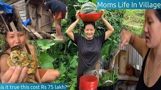 Village mom daily work routine morning to evening with 5 kids 